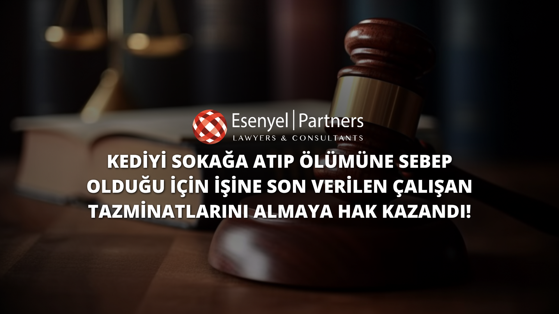 Kediyi Sokağa Atıp Ölümüne Sebep Olduğu İçin İşine Son Verilen Çalışan Tazminatlarını Almaya Hak Kazandı!